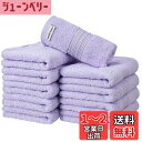 100% 綿 33×80cmホテルスタイルフェイスタオル セット タオル コットン 人気 ふわふわ の肌触り 吸水
