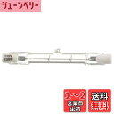 【送料無料】オーム電機 ハロゲン電球 ハロゲン球 100W/110V 1個入 センサーライト用 LS-P-1001 06-4921 OHM