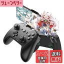 【送料無料】ワイヤレス コントローラー Switch/PC/IOS/Android全対応【方向ボタンレイアウト可能/背面ボタン/スマホホルダー付き】プロコン ゲームパッド 自動連射 Bluetooth/2.4GHz/有線接続 6軸ジャイロセンサー マクロ機能 MFI認証 HD振動 高耐久ボタン 日本語説明書付き