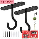 5WYOUKE 天井 フック 吊り下げ金具 J字 吊りフック 耐荷重約15kg 長さ6.4cm 石膏ボード 壁掛け ピンフック 穴が目立たない 照明器具配線 画鋲 賃貸 2個セット ネジ/プラスチック拡張チューブ付き