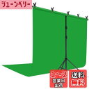 YAYOYA クロマキー グリーンバック 1.8m x 2.8m + T字型 背景スタンド 2m x 2m グリーンスクリーン 背景 布 スタンド 撮影 背景 ...
