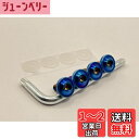 Kuroobaa 車用 ナンバープレートボルト チタン製 ナンバーフレーム 車用ナンバープレートカバー・ホルダー チタン合金製 防犯 盗難防止ネジ M6 4本セット (ブルー)
