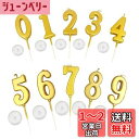 KALOLINNA バースデーナンバーキャンドル 0~9 10点セット ロウソク 数字 誕生日を祝う 高級 ろうそく おしゃれ スタイリッシ 記念日キャンドルウエディングパーティー卒業パーティー