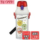 スケーター(Skater) 子供用 クリア プラスチック 水筒 480ml ポケットモンスター 23 目盛り付きで水分補給の管理 PSB5TRC-A