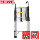 【送料無料】DayPlus伸縮はしご 伸縮梯子多機能 ステンレスはしご アルミ製のはしごではない 自動ロック スライド式 持ち運びやすい 折り畳み 伸縮自在 梯子 室内室外両用 スライド式 フック付き