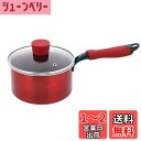 ベストコ 片手鍋 ソースパン 16cm レッド IH対応 NM-111 デリシャスサインエボルト