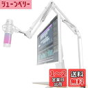 CACENCAN M02 マイクスタンド マイクアームスタンド 卓上デスクアーム式 長く高くなる改良型 角度高さ調節 伸縮 折り畳み式 コンデンサーマイク用 生...
