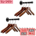 【送料無料】Sumnacon パイプ型 ウォールハンガー 壁掛けラック 衣類ハンガーラック 服掛けラック タオル掛け 壁 ネジ 焼付け塗装 錆びにくい アンティ...
