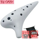 【送料無料】Aestivate Plastic Ocarina オカリナ 楽器 12穴 アルトC調 プラスチック AC Ocarina 吹奏管 樹脂(ホワイト)