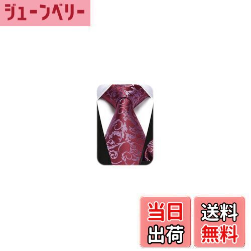 【送料無料】[HISDERN] ペイズリー柄 ネクタイ メンズ 赤 結婚式 ネクタイ チーフ セット おしゃれ 花柄 ビジネス ネクタイ 二次会 入学式 卒業式 派手 プレゼント