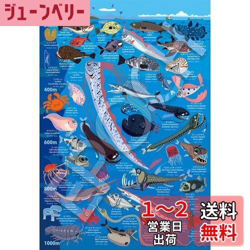 ݥå 100顼ԡ ѥ 饹/ ͧʤ ʪ޴ 忼200m~1000m (2638cm) 26-807 Τդ إդ դ EPOCH