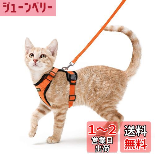Rabbitgoo 猫 ハーネス リード セット 抜けない 猫用ハーネス ソフト胸あて 軽量 足を上げず装着完成 サイズ調節可 夜反射 通気メッシュ 咳込み防止 散歩 犬用ハーネス 猫の胴輪 くびわ ベスト パグ ネコねこ子猫 散歩ひも 猫はーねす胴輪 猫 ハーネス りーど（オレンジ