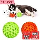 【送料無料】AUSCAT 犬おもちゃ 音が出るボール 噛むおもちゃ 中小型犬 知育玩具 頑丈 天然ゴム 犬用玩具 歯清潔 口臭予防 ストレス解消「橙緑ボール 2点 セット S」