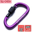 TITECOUGO アウトドア カラビナ おしゃれ 登山 小型 アルミ Dフック 頑丈 ネジロック バンジーコード ブランコ hammocks ハンモックテント ?キャンプ 用品 キーホルダー 釣り ハイキング ペット karabina 紫 1個