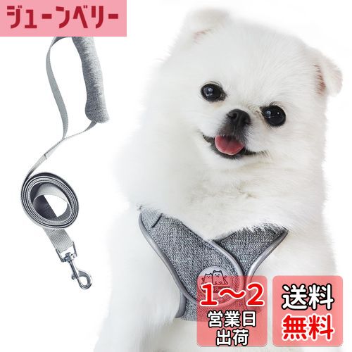 Miru pochi(ミルポッチ) 犬 猫 ハーネス 小型犬 超小型犬 子犬 リード セット 首輪 ソフト ペット 抜けない つけやすい くびわ 安全 軽量 反射 散歩 引っ張り防止 付き 調節 気管に優しい (グレー, XXS)