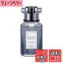晴香堂(HARUKADO) カーオール 車用 芳香剤 サロンズ アーバン ホワイトムスク 155ml 3461
