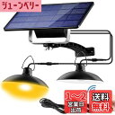 Aokyoung 分離型2灯LEDソーラーライト 屋外 LED センサーライト 5500mAh超大電池容量 延長コード3m*4本 太陽光パネル充電 自動点灯/消灯 電気代不要 センサーライト 分離式 高輝度 LED 防水 防犯 室外/室内兼用 リモコン付き 取付簡単 暖色系