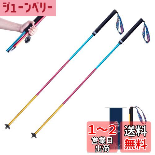 TRIWONDER トレイルランニング専用ポール 2本セット 折りたたみ式 超軽量 トレランポール トレッキングポール 登山ストック ウォーキングポール ノルディックウォーキング (カラフル - 110cm)
