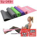 PROIRON ストレッチバンド フィットネスバンド エクササイズ チューブ ラテックスフリー 滑り止め TPE素材 無刺激 ヨガ ピラティス 筋力トレーニング...