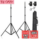 Meking 撮影用 200cmライトスタンド*2+自由雲台*2+収納ケース ライトスタンドキット HTC VIVE VR専用セット 撮影写真 ストロボ/スピー...