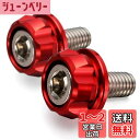 デイトナ(Daytona) PREMIUM ZONE(プレミアムゾーン) バイク用 ナンバープレート ボルト M6×15mm ホルダーセット 2個入り レッド 91945