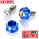 デイトナ(Daytona) PREMIUM ZONE(プレミアムゾーン) バイク用 ナンバープレート ボルト M6×15mm ホルダーセット 2個入り ブルー 91946