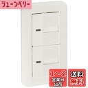 パナソニック(Panasonic) コスモワイド埋込パイロット・ホタルダブルスイッチ WTP50412WP 【純正パッケージ品】