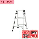 長谷川工業(Hasegawa) アルミ軽量はしご兼用脚立 天板トレー付 (81cm) RC2.0-09 (16320)