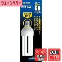 TOSHIBA ネオボールZ D形 60Wタイプ 口金直径17mm 昼光色 EFD15ED/13-E17