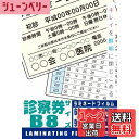 オーム(OHM) オーム電機 100ミクロンラミネーターフィルム20枚 診察券 LAM-FS203