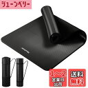 Reodoeer ヨガマット トレーニングマット エクササイズマット ストレッチマット厚め収納バンド 収納バッグ付き 厚さ10mm (ブラック)