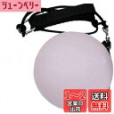 COCOIt's LED Poi ポイ 2個セット 色変わり レインボー イルミネーション ジャグリング