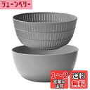 ライクイット ( like-it ) ざる ボウル 樹脂製 Colander&Bowl 米とぎにも使える ザルとボール Ф22.7×高10.4cm ボウル:Ф2...