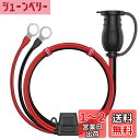 Iarlion ヒューズ付き シガーソケット延長ケーブル 車両延長コード バッテリーから電源を取るのに便利 3M 超長 絶縁性よく&耐熱&腐蝕耐え 安全安心使用 (丸端子コード)
