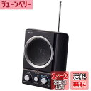 ELPA(エルパ) AM/FMスピーカーラジオ テレビにつなぐと手元で聴ける ER-SP39F