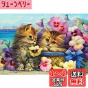DIYクロスステッチキットダイヤモンド絵画5D塗装キット、素敵な猫の子猫の花WOWDECORフルドリルDIYダイヤモンドアートペイント数字油絵 (ネコ)