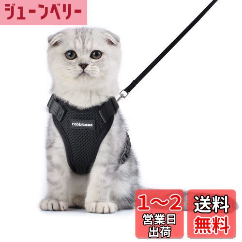 Rabbitgoo 猫 ハーネス リード セット 小型犬 犬猫兼用 抜けない はーねす ソフト胸あて 軽量 足を上げず装着完成 サイズ調節可 ネコ 散歩 紐 夜反射 通気メッシュ 咳込み防止 胴輪 ベスト りーど（黒 XSサイズ）