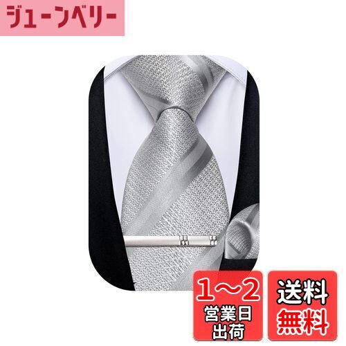 [DiBanGu] ネクタイ シルバーグレー 結婚式 ストライプ ポケットチーフ タイピン 洗濯可能 イージーケア