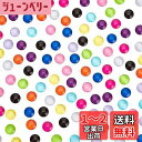 PH PandaHall ガラスカボション 12mm 110個 半円 ガラス 11色 ハンドメイド ジュエリー用 ドーム アクセサリーパーツ 手芸材料 ネイル ...