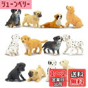 TOYMANY 12PCSミニ犬フィギュア ミニ動物フィギュア 動物フィギュアセット 犬モデル リアルな動物模型 犬おもちゃ 人気動物 玩具 誕生日プレゼント ...