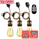 ANWIO ペンダントライト 3個セット 配線ダクトレール用 4.5W(20W形相当) E26口金 リモコン付き ダクトレールライト 北欧 シーリングライト レトロペンダントライト エジソン電球 LED電球付き 天井照明 角度調節可能 省エネ 居間 玄関 食卓 (電池別売)