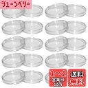LOYELEY コイン ケース カプセル コインホルダー 内径27mm 20個セット 保護 透明 プラスチック コインケース クリアケース コレクション 記念 ...