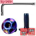 Litorange チタン合金製 ナンバープレートボルト 星型六角穴付きボルト ン ナンバーフレーム チタン合金製 防犯 盗難防止ネジ M6 2本セット(藍紫)
