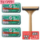 【送料無料】貝印 T型ゴールドステンレス SMTGS10B1 10本×3個セット