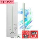 2024最新 iPad ペン 第10世代対応 傾き感知/磁気吸着機能/超高感度 タッチペン 誤作動防止機能 軽量 耐摩 USB type-c充電式 ペンシル2018年以降iPad/iPad Pro/iPad air/iPad mini対応 iPad 2018-2024用ペンシル