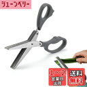 Coollooda キッチンはさみ シュレッダーハサミ シュレッダー はさみ 5枚刃 キッチンバサミ シュレッダーハサミ フレッシュハーブ、ミント、パセリ、ねぎ、個人情報のカット用 封筒、はがき、明細書、領収書、多機能はさみ