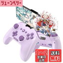 ワイヤレス コントローラー Switch/PC/IOS/Android全対応【方向ボタンレイアウト可能/背面ボタン/スマホホルダー付き】プロコン ゲームパッド 自動連射 Bluetooth/2.4GHz/有線接続 6軸ジャイロセンサー マクロ機能 MFI認証 HD振動 高耐久ボタン 日本語説明書付き (Purpl