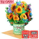 【送料無料】Kesote メッセージカード 立体 お見舞い 春 卒業 感謝 花 ひまわり ポップアップカード 紫陽花 飛び出す グリーティング バレンタイン 母の日 おしゃれ 封筒付き