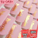 VANRA 聖書のタブ 女性用 ピンク 聖書ジャーナリング用品 聖書インデックスタブ 96枚 英語 再利用可能 聖書研究 空白の粘着タブ付き お母様/娘/女の子...
