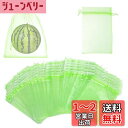 【BEAUTY PLAYER】果樹袋 果物保護バッグ 果実袋 防虫 ネット 家庭菜園 防鳥ネット 害虫鳥避け 通気性 光通過 メッシュバッグ 園芸工具 桃 イチゴ ミニメロン いちじく ぶどう用 農業用 巾着袋 (50枚入, 30cm×40cm)